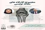 جلسه دوم: سرچ استراتژی